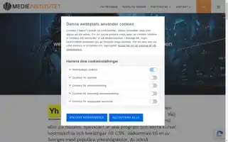 Medieinstitutet.se Screenshot 2024-07-01 17:15:22