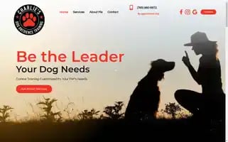 Charliesdogobediencetraining.com Screenshot 2024-05-17 03:35:30