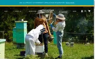 Abchoney.org Screenshot 2024-05-05 12:02:19