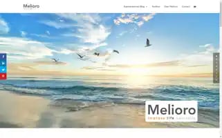 Melioro.nl Screenshot 2024-06-11 18:21:47
