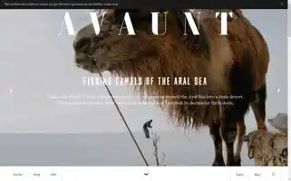 Avauntmagazine.com Screenshot 2024-05-22 08:18:19