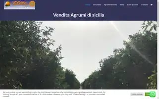 Giovannirussofrutta.it Screenshot 2024-05-23 03:11:37