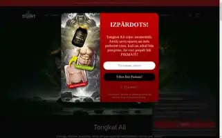 Testohit.com Screenshot 2024-05-03 18:03:21
