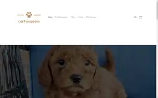 Curlypuppies.com Screenshot 2024-04-27 11:24:29