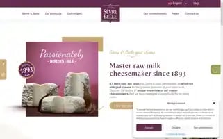 Sevre-belle.fr Screenshot 2024-06-17 17:21:07