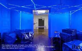 Biennialassociation.org Screenshot 2024-06-29 20:05:04