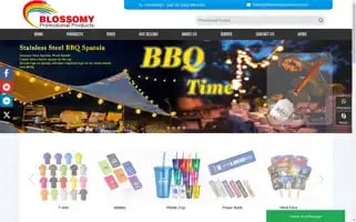 Blossomypromotion.com Screenshot 2024-05-08 19:54:05