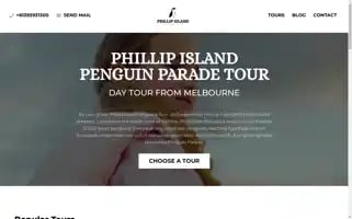 Phillipislandtoursaustralia.com.au Screenshot 2024-04-25 14:08:24