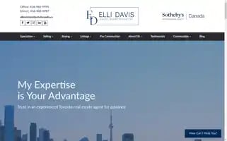 Ellidavis.com Screenshot 2024-05-06 01:41:15