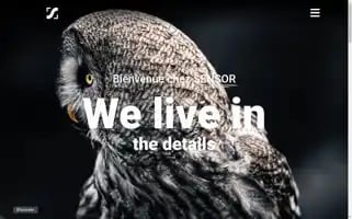 Sensorcreative.com Screenshot 2024-05-28 14:23:27