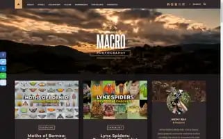 Nickybay.com Screenshot 2024-07-04 03:53:43