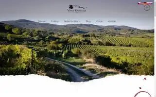 Vinokarpatia.sk Screenshot 2024-07-10 00:59:09