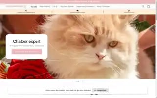 Chatoonexpert.com Screenshot 2024-05-02 05:50:13