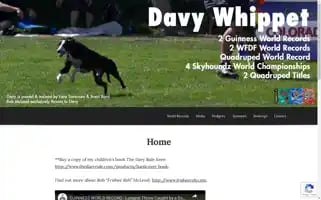 Davywhippet.com Screenshot 2024-07-02 07:14:06