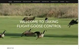 Takingflightgoosecontrol.com Screenshot 2024-04-18 06:49:59