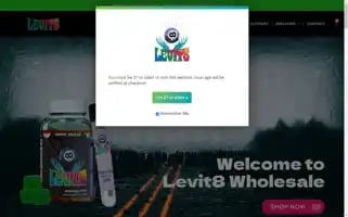 Lv8.store Screenshot 2024-05-27 16:44:35