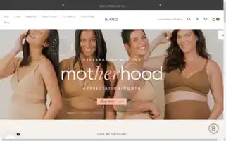 Blanqi.com Screenshot 2024-05-04 17:52:27