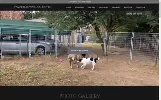 Pamperedpawsdoghotel.com Screenshot 2024-04-17 00:44:38