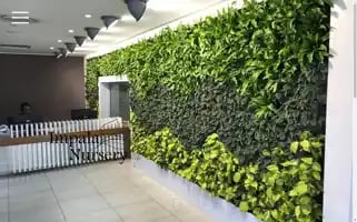 Impalanursery.co.za Screenshot 2024-07-03 07:44:29