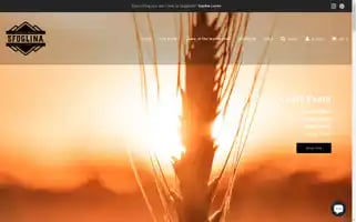 Sfoglinadenver.com Screenshot 2024-05-05 17:06:46