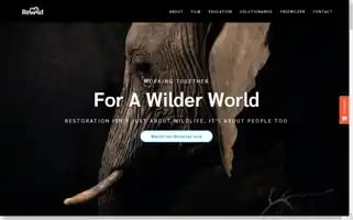 Rewildafrica.org Screenshot 2024-07-04 20:02:24