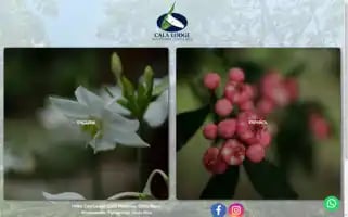 Calalodgehotel.com Screenshot 2024-04-26 00:51:39