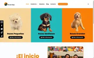 Mascotaspaisas.com Screenshot 2024-06-26 08:58:42