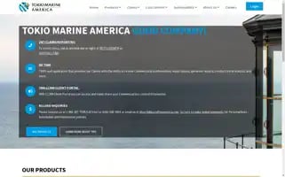 Tmamerica.com Screenshot 2024-07-06 01:15:47