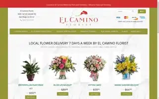 Elcaminoflorist.com Screenshot 2024-07-05 21:20:54