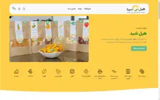 Healshid.com Screenshot 2024-05-28 07:34:08
