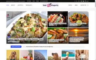 Vastsagacity.com Screenshot 2024-06-18 13:41:26