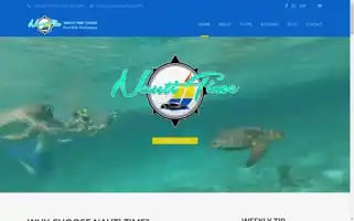 Nautitimetours.com Screenshot 2024-04-15 17:19:12