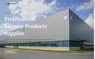 Siliconegpt.com Screenshot 2024-05-24 09:51:45