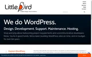 Littlebirdwebservices.co.uk Screenshot 2024-06-30 05:14:46