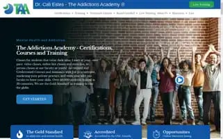 Theaddictionsacademy.com Screenshot 2024-06-16 21:43:57