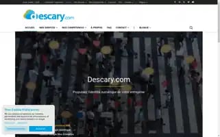 Descary.com Screenshot 2024-07-02 21:58:13