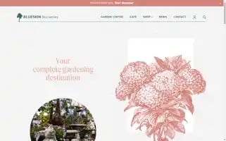 Blueskinnurseries.co.nz Screenshot 2024-06-29 17:09:29