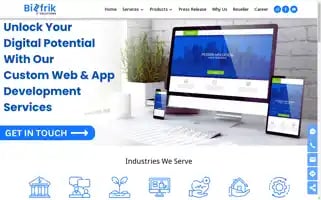 Bizfrik.com Screenshot 2024-05-26 03:56:46