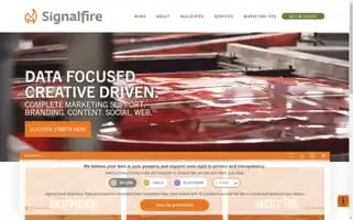 Signalfire.us Screenshot 2024-06-13 00:39:24