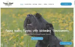 Texasgiantschnauzers.com Screenshot 2024-05-19 18:51:50