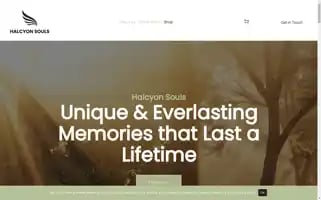 Halcyonsouls.com Screenshot 2024-05-25 03:19:07