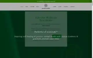 Pockitudes.com Screenshot 2024-07-03 12:03:48