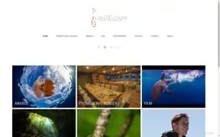 Alexlindbloom.com Screenshot 2024-07-09 02:26:17