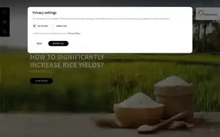 Elementar.com Screenshot 2024-06-14 23:38:40