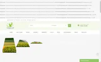 Evergreengolfindia.com Screenshot 2024-05-15 21:32:29