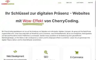 Cherrycoding.com Screenshot 2024-07-02 07:30:08