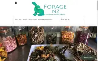 Foragenz.com Screenshot 2024-06-29 22:17:09