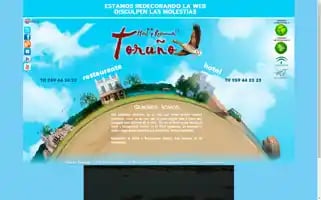 Toruno.es Screenshot 2024-07-03 22:21:20
