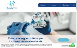 Dentaltrip.care Screenshot 2024-04-26 17:35:08