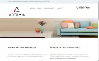 Artemisimmo.com Screenshot 2024-07-01 02:03:44